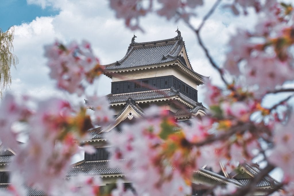 architecture-branch-castle-2235308